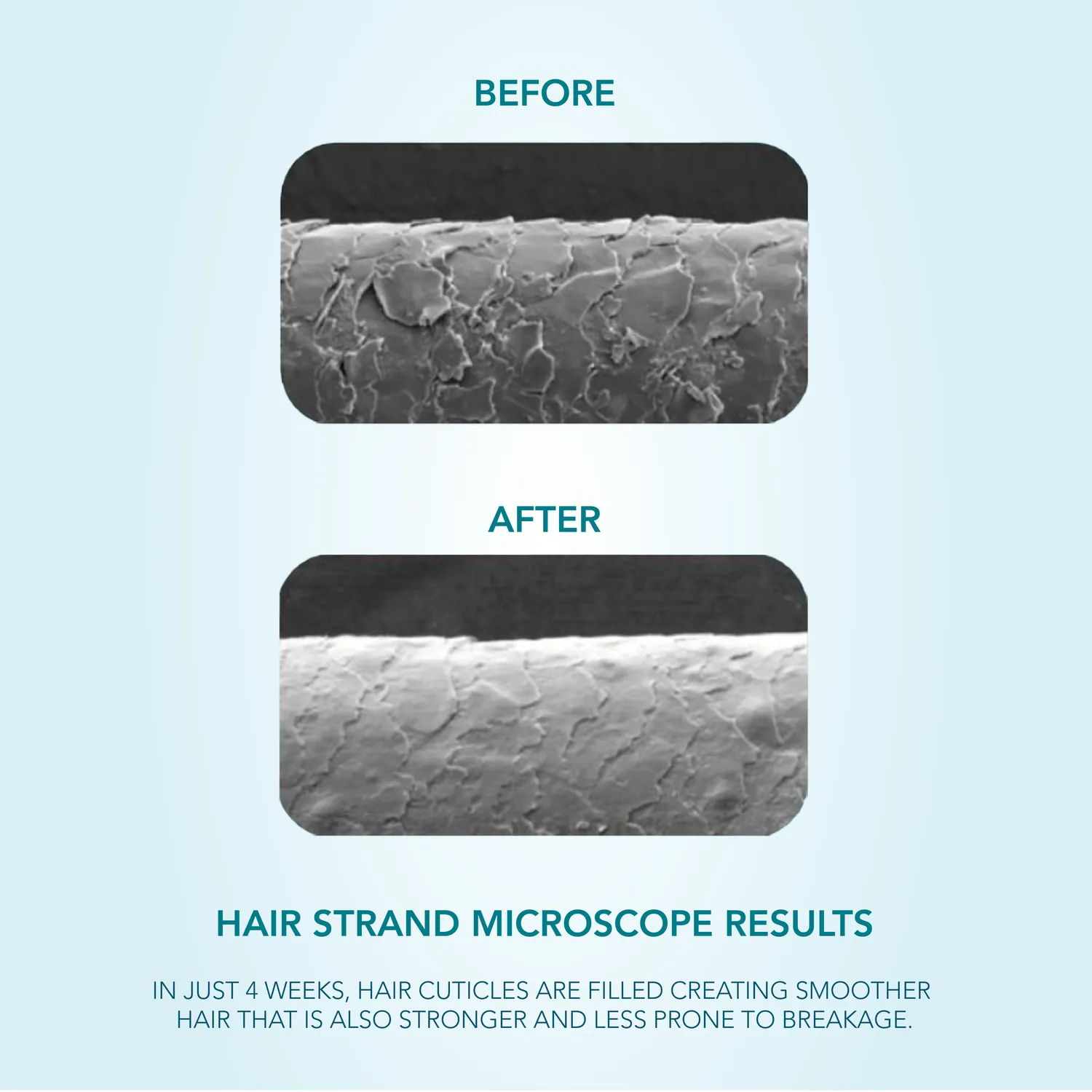 We Are Paradoxx Advanced Plus Peptide siero capelli anticaduta