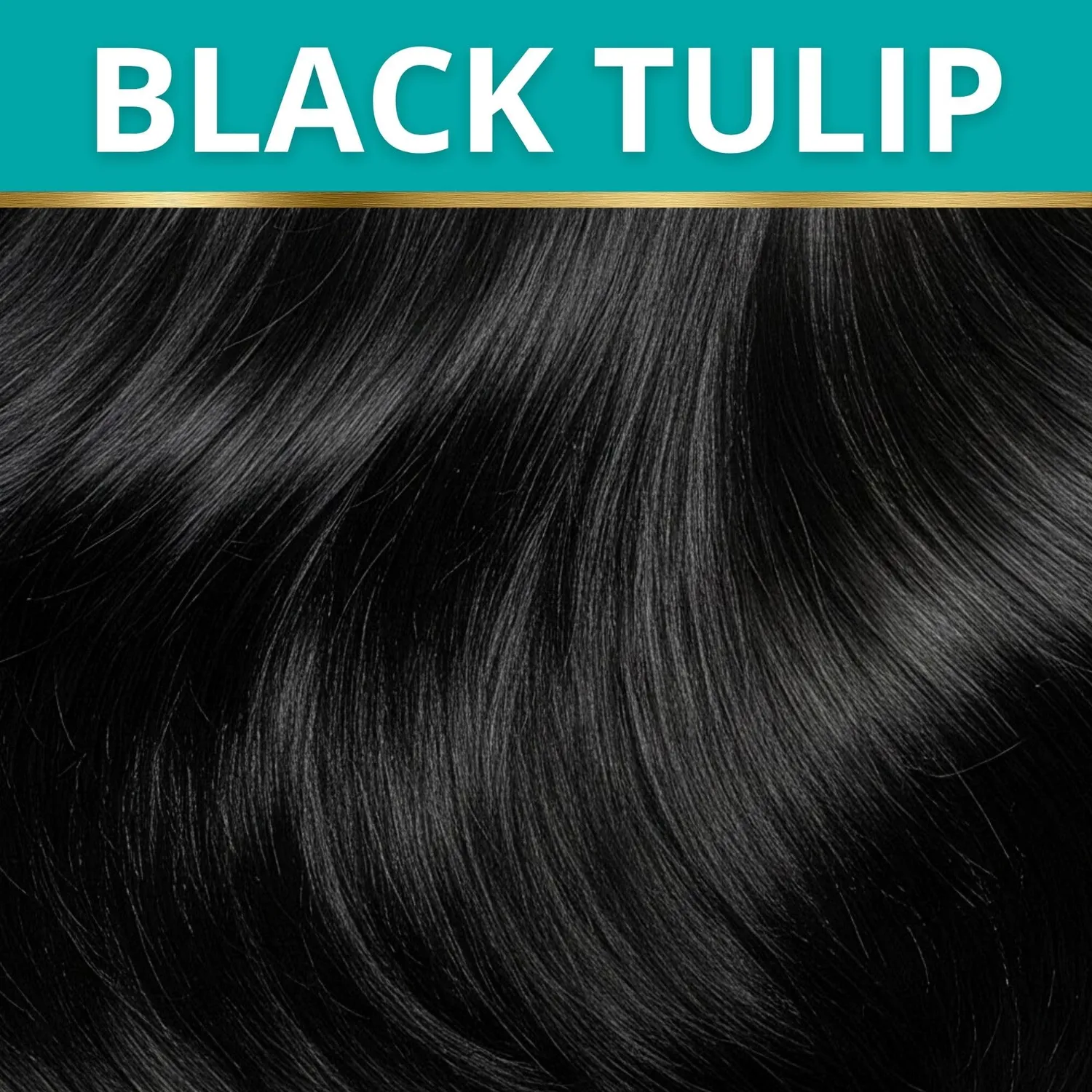 Leganza 20 Tulipano Nero maschera colorante 150 ml nera