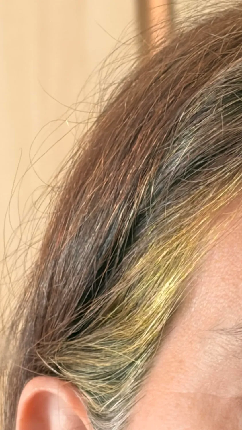 Leganza 20 Tulipano Nero maschera colorante 150 ml nera