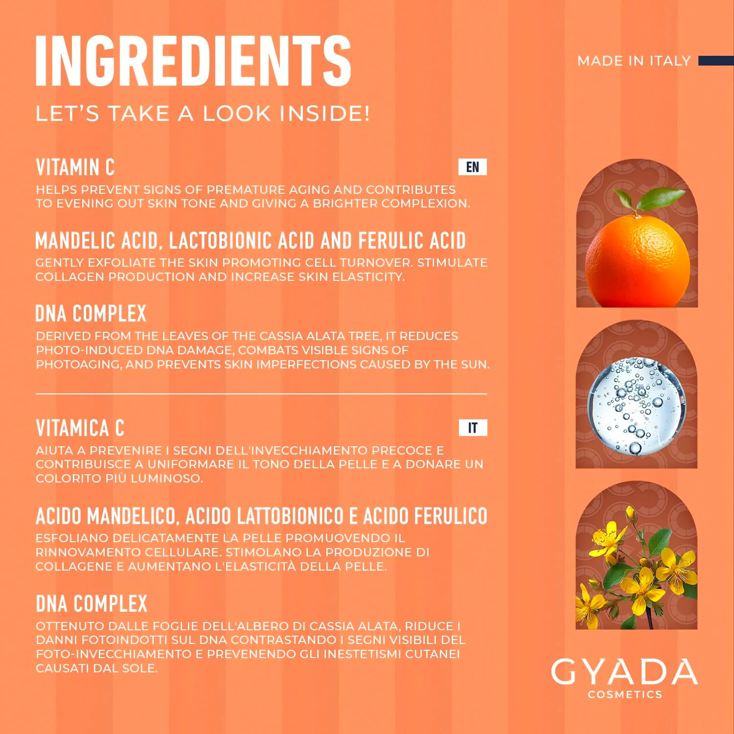Gyada Radiance Night Treatment viso notte 50 ml antiossidante