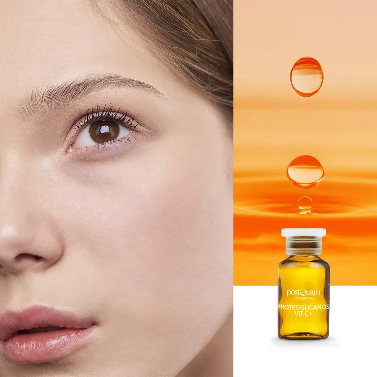 Postquam Proteoglicanos fiale viso 20 ml