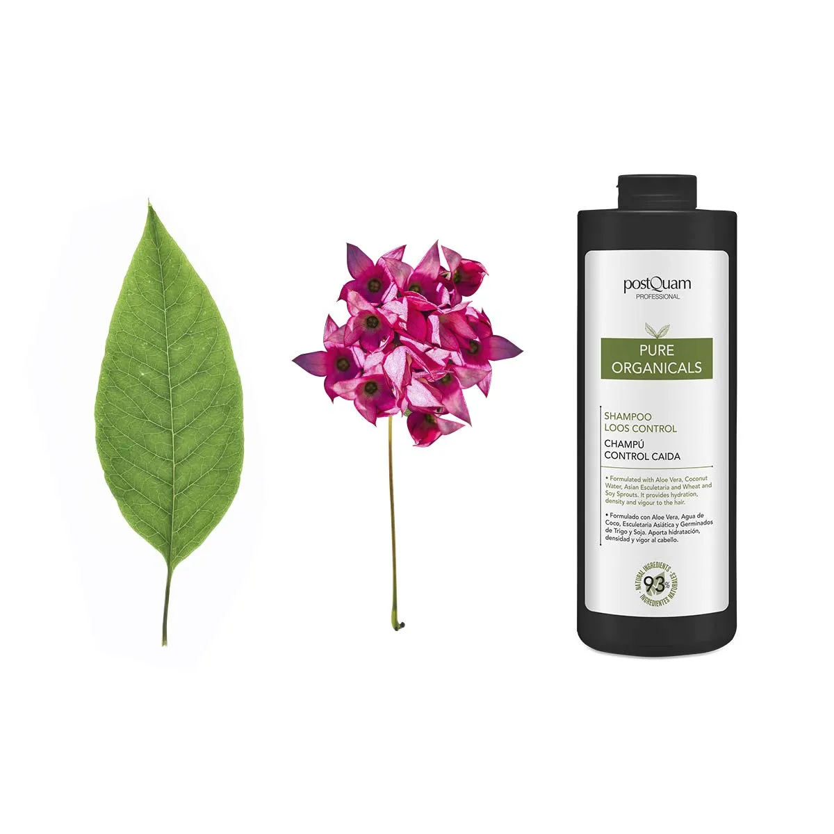Postquam Organicals shampoo anticaduta 1000 ml senza solfati