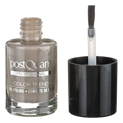 Postquam Gray Smalto Unghie Grigio Coprente