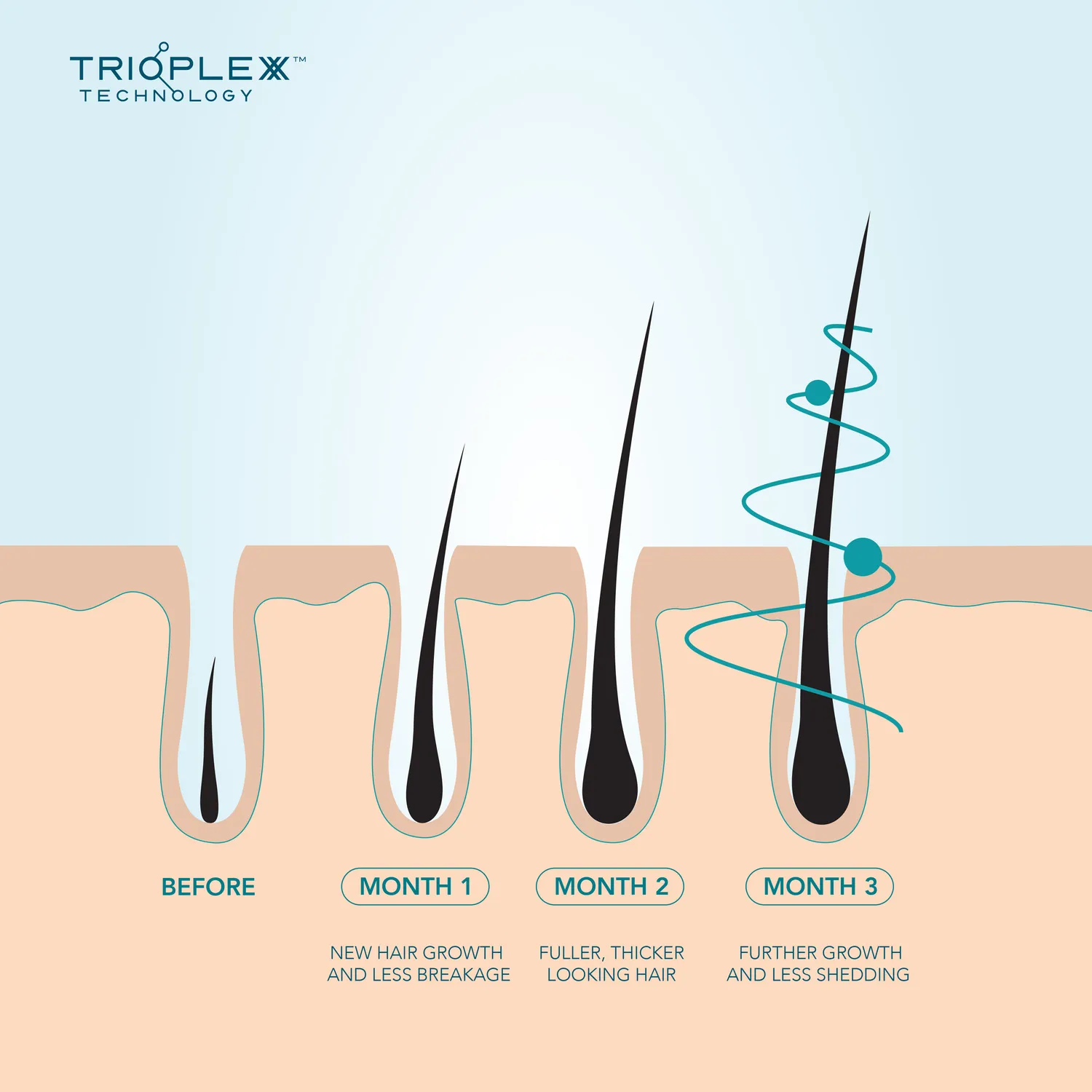 We Are Paradoxx Advanced Plus Peptide siero capelli anticaduta